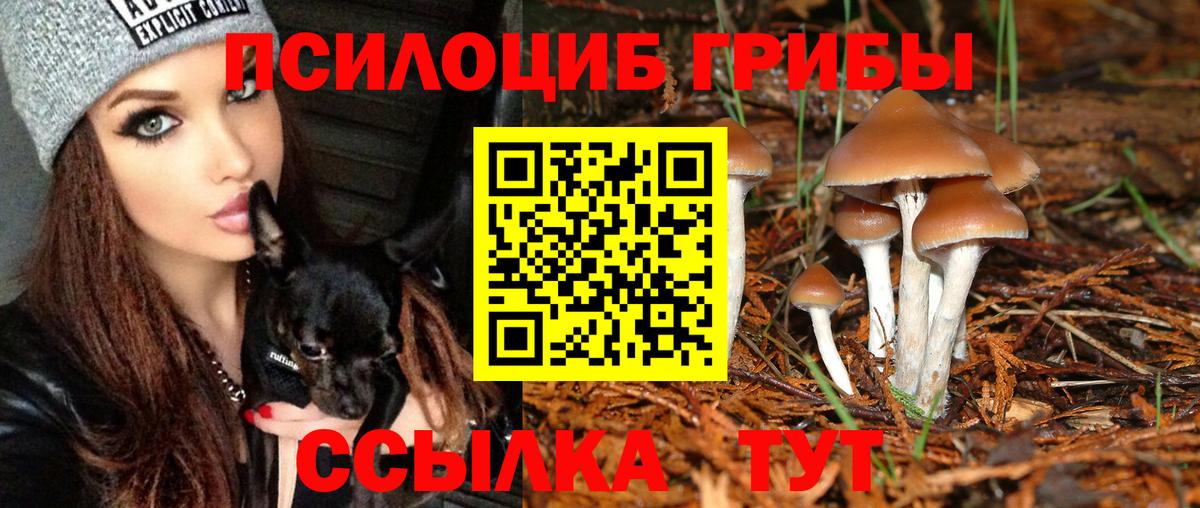 Галлюциногенные грибы мухоморы  Вход с VPN  Электросталь 